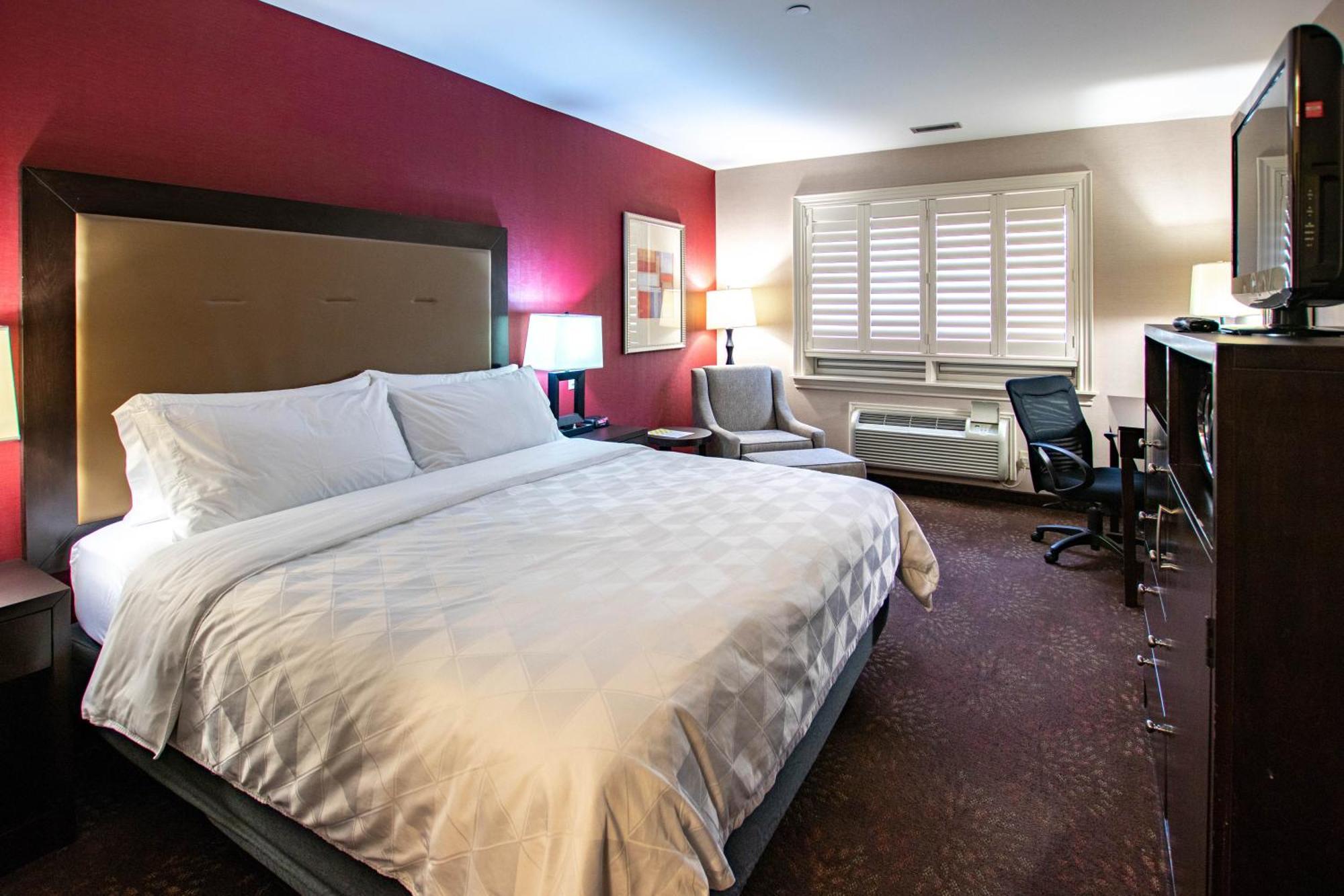 Holiday Inn Hotel & Suites St.Catharines-Niagara By Ihg Sainte-Catherine Extérieur photo